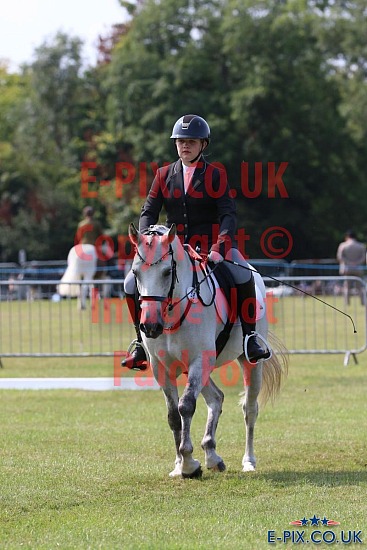 SMP EVENTS - South East Equestrian Show - 2024