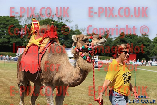 Kent County Show - 2025