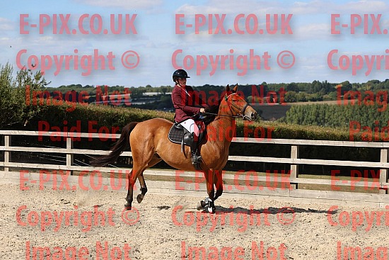 SMP EVENTS - showjumping-Tutsham 05-09-2026