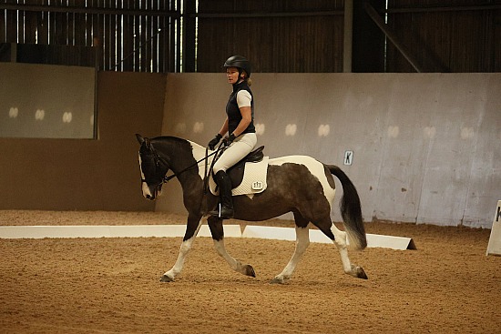 SMP EVENTS - Dressage - Hadlow - 26-09-2026