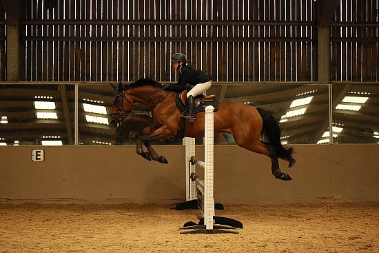 SMP EVENTS - Showjumping - Hadlow - 27-09-2026