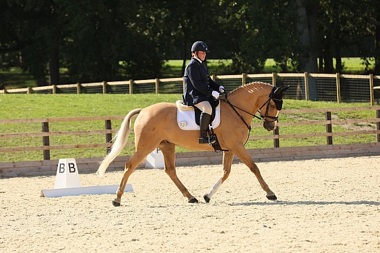 SMP EVENTS - DRESSAGE - Chart court - 04-10-2026